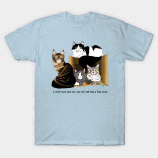 My Cat has Cats. T-Shirt